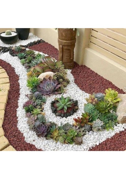 5 kg Dolomit Taşı, Dere ve Bahçe Süs Taşı, Dekoratif Çakıl ve Taş fırsatları