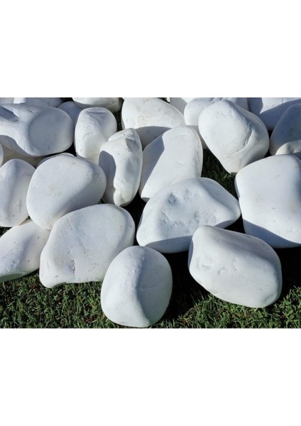 Beyaz Dolomit Taşı 3kg, 4-6cm, Bahçe, Saksı, Akvaryum, Teraryum Için Ideal