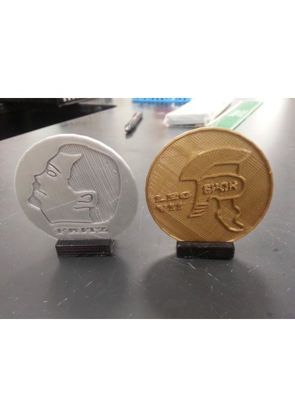 Roma Madeni Para Kopyası (Plastik Aparattır!!!) 3D modelleri