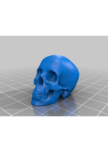 Kafatası Düşük Resim Yazdırılabilir Kapalı Mesh (Sadece Plastik Aparattır!!!) 3D modelleri