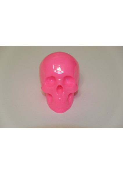 Kafatası Düşük Resim Yazdırılabilir Kapalı Mesh (Sadece Plastik Aparattır!!!) 3D fırsatları