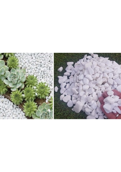 Beyaz Dolomit Taş 4 kg 1,5-2,5 cm Bahçe ve Dekoratif Taşı Seti