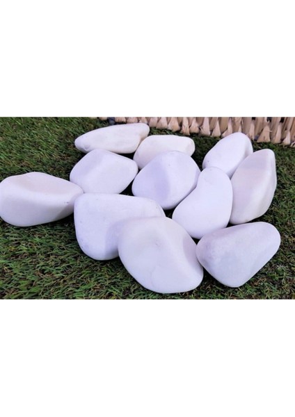Beyaz Dolomit Taş 3 kg 4-6 cm Bahçe ve Dekor Için Doğal Çakıl Taşı fiyatları