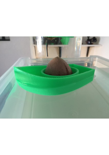 Avokado Boat V2.0! Kendi Avokado Ağacınızı Büyüt! (Plastik Aparattır!!!) 3D fırsatları