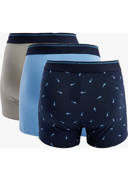 Yeni Sezon Balık Desenli Pamuklu 3'lü Boxer Seti