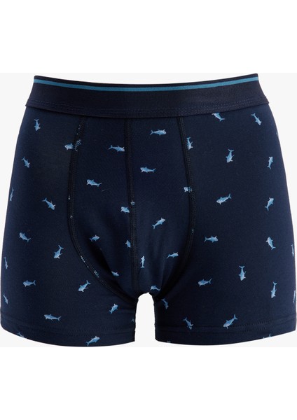 Yeni Sezon Balık Desenli Pamuklu 3'lü Boxer Seti