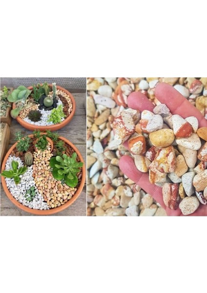 Sarı Dolomit Taş 2 kg 1-2 cm Bahçe, Süs, Akvaryum ve Teraryum Taşı