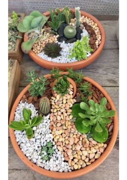 Sarı Dolomit Taş 2 kg 1-2 cm Bahçe, Süs, Akvaryum ve Teraryum Taşı modelleri