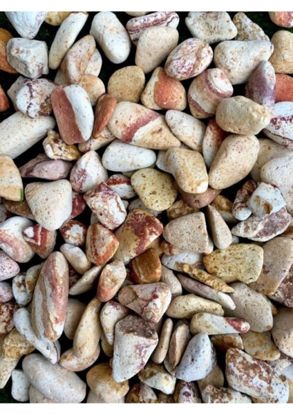 Sarı Dolomit Taş 2 kg 1-2 cm Bahçe, Süs, Akvaryum ve Teraryum Taşı fırsatları