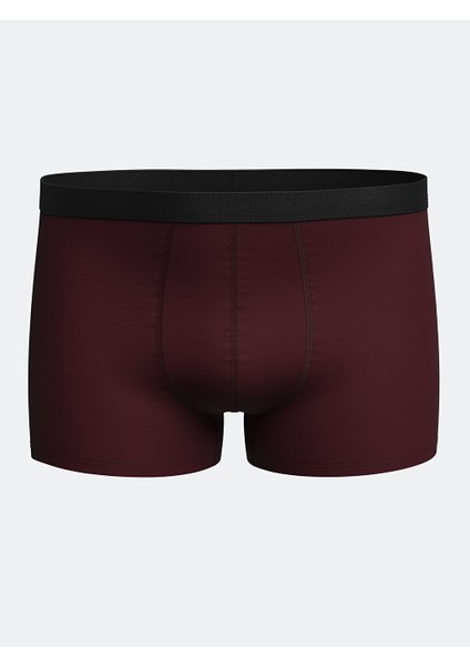 Yeni Sezon Standart Kalip Pamuklu Esnek Erkek Boxer 3'lu - S5I904Z8