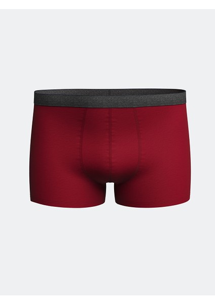 Yeni Sezon Standart Kalip Pamuklu Esnek Erkek Boxer 3'lu - S5I821Z8