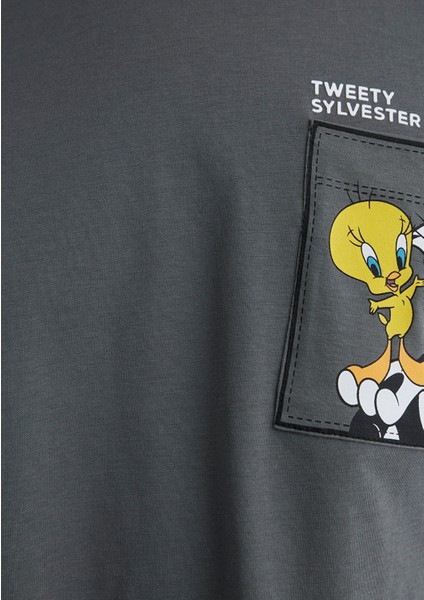 Sylvester Baskılıantrasit Tişört 1613358-70121