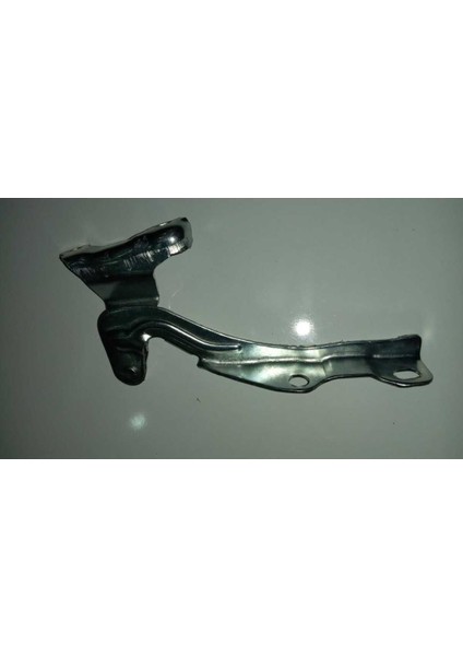 Kaput Menteşe Sağ Rio 06-09, 79120-1G000, Uygun ve Dayanıklı Parça