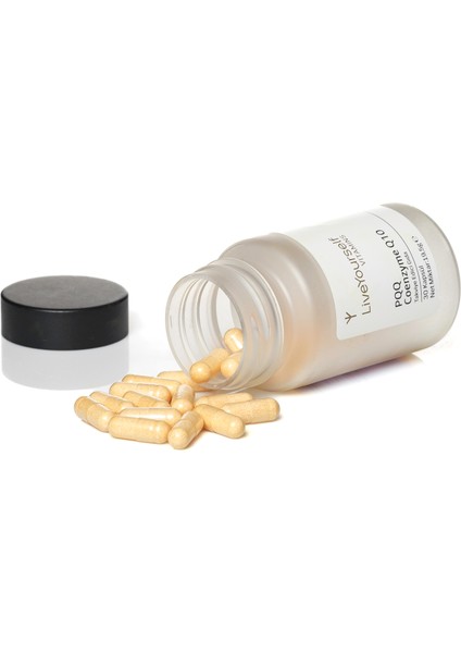 PQQ & Koenzim Q10 – 30 Kapsül Bitkisel Takviye fiyatları