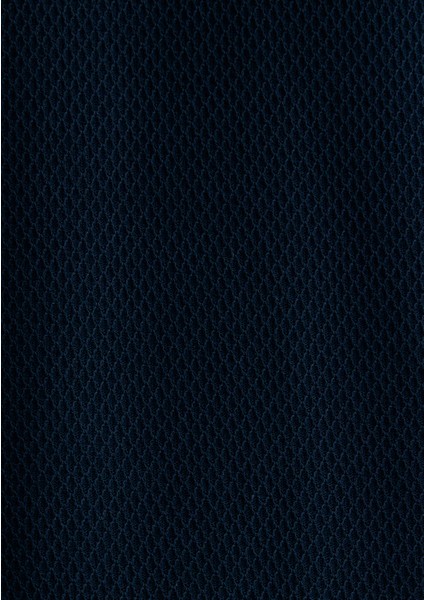Şerit Detaylı Lacivert Polo Tişört 066039-30651