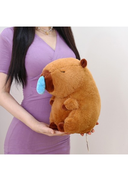 Pibala Peluş Bebek Merad Aqua Yunus Çember Bebek Çocuk Bebekleri (Yurt Dışından)