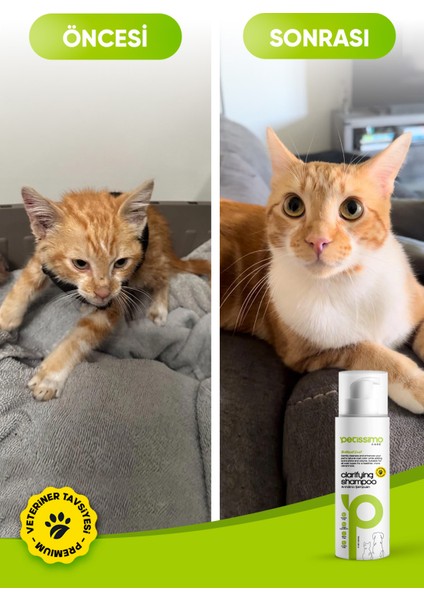 Arındırıcı Şampuan - Kedi ve Köpek Için Tüy Bakımı indirimleri