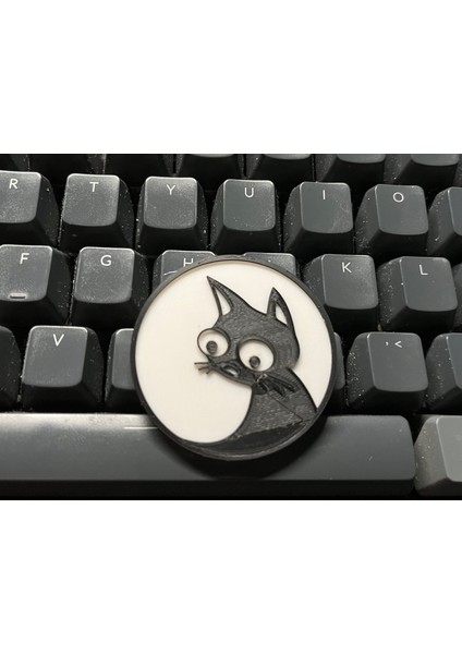 Endişeli Kedi Manyetik Madeni Para 3D