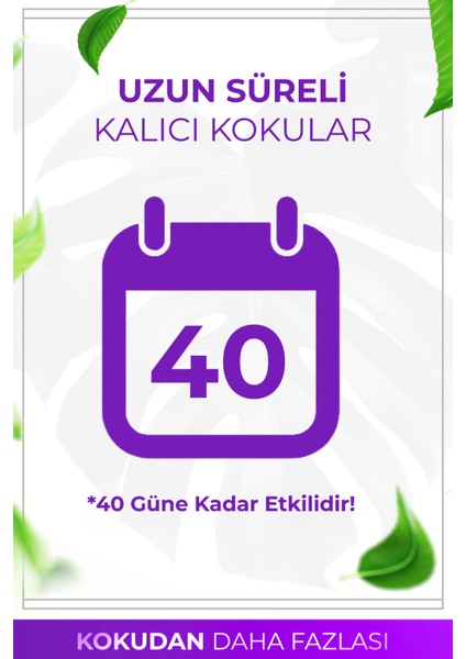 Bahar Esintisi Çubuklu Oda Kokusu Bambu Kokusu Kare Şişe Spring Breeze Reed Diffuser 100ml indirimleri