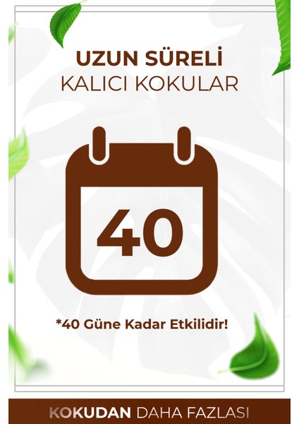 Sandal Ağacı Çubuklu Oda Kokusu Bambu Kokusu Kare Şişe Sandal Wood Reed Diffuser 100ml fırsatları