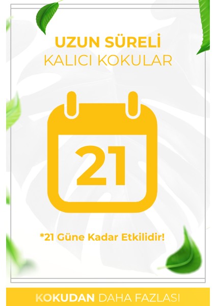 Beyaz Gül Çubuklu Oda Kokusu Bambu Kokusu White Rose Reed Diffuser 50ml fırsatları