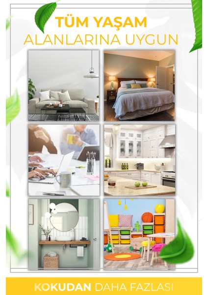 Beyaz Gül Çubuklu Oda Kokusu Bambu Kokusu White Rose Reed Diffuser 50ml indirimleri