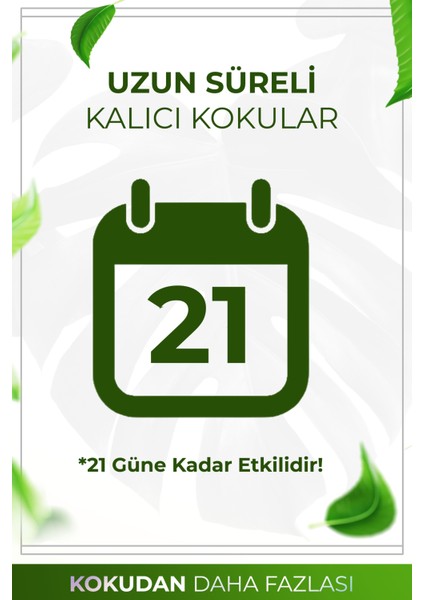 Bahar Esintisi Çubuklu Oda Kokusu Bambu Kokusu Spring Breeze Reed Diffuser 50ml fırsatları