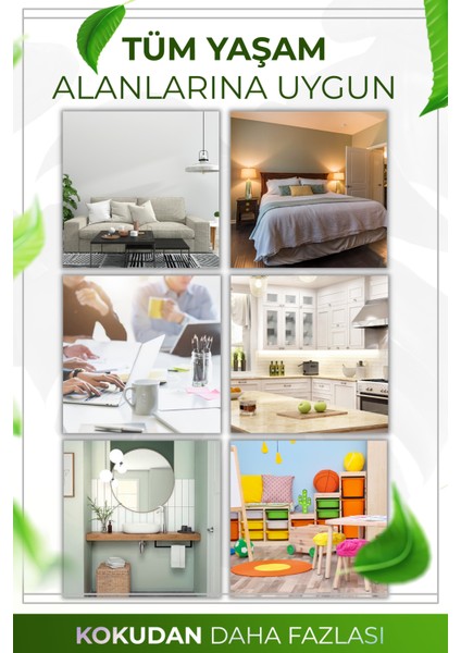 Bahar Esintisi Çubuklu Oda Kokusu Bambu Kokusu Spring Breeze Reed Diffuser 50ml indirimleri