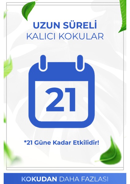 Okyanus Çubuklu Oda Kokusu Bambu Kokusu Ocean Reed Diffuser 50ml modelleri