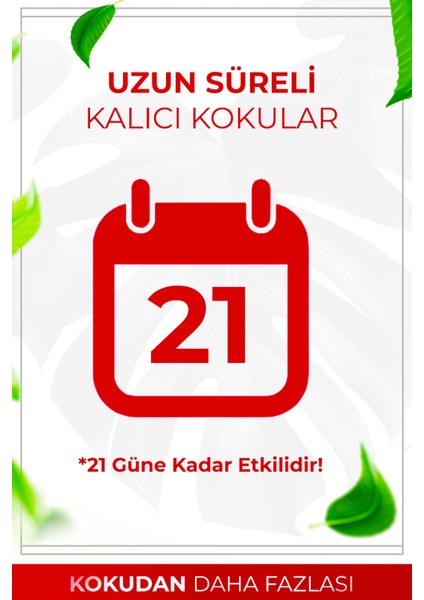 Beyaz Sabun Çubuklu Oda Kokusu Bambu Kokusu White Soup Reed Diffuser 50ml