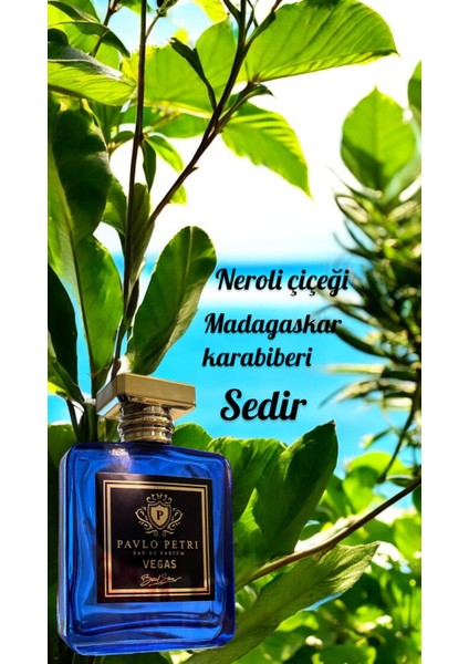 Vegas Niche Seri Etkileyici Gün Boyu Kalıcı Amber Aromatik - Oryantal 100 ml Edp Erkek indirimleri