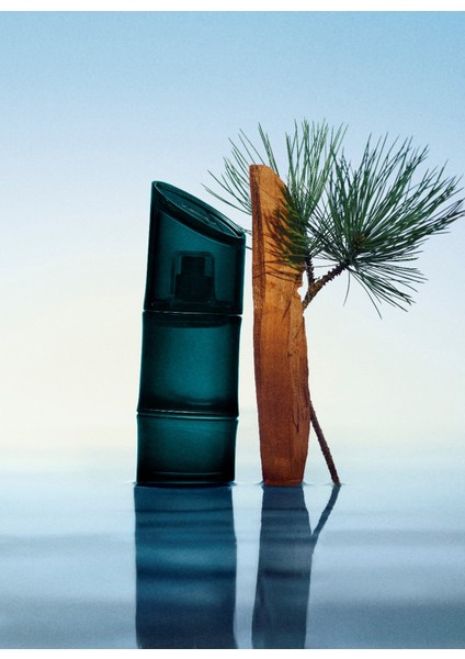 Pour Homme Edt 110 Ml Erkek Parfüm modelleri