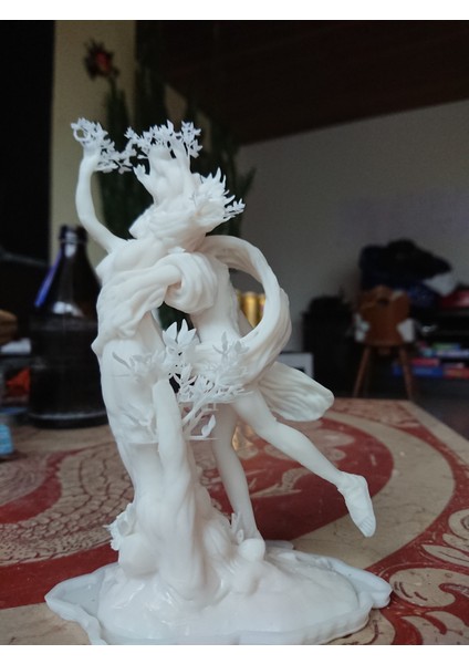 [nihai Zorluk] Apollo ve Daphne (Plastik Aparattır) 3D modelleri