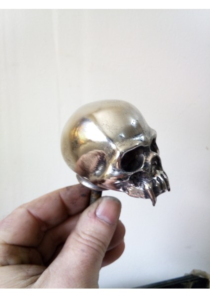 Vampir Kafatası (Plastik Aparattır) 3D fırsatları