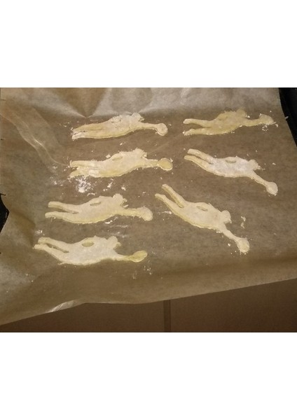 Ultimate Frizbi Düzeni Çerez Kesici (Plastik Aparattır) 3D fiyatları