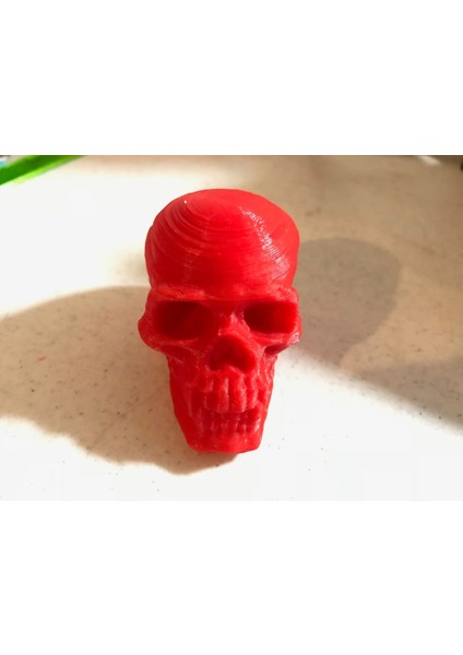 Sivri Dişlerle Kafatası Pez Dispenser Topper (Sadece Plastik Aparattır) 3D modelleri