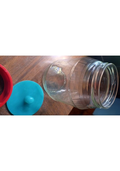 Mason Geniş Ağız Fermentor'a Turşu Kavanoz Kapağı, Kuru Kapak (Stp Dahil) (Sadece Plastik Aparattır) 3D modelleri
