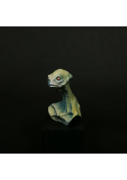 Mantar Kafa (Plastik Aparattır!!!) 3D modelleri