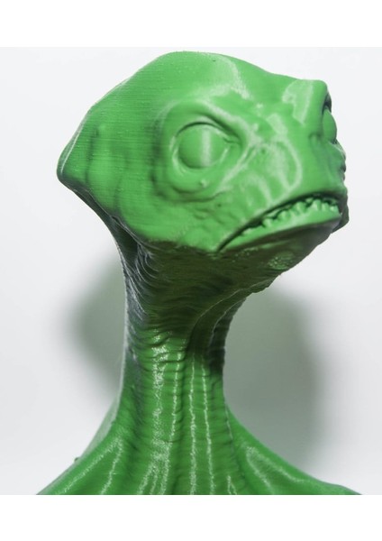 Mantar Kafa (Plastik Aparattır!!!) 3D indirimleri