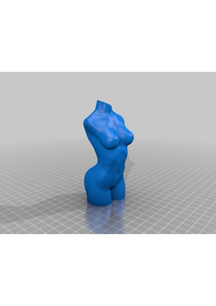 Kadın Gövde Vazo Modu ~ Aile Dostu Versiyon (Plastik Aparattır!!!) 3D indirimleri