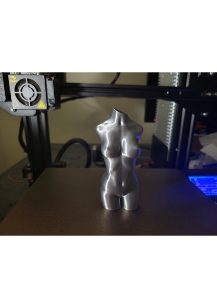 Kadın Vücudu (Vazo Modu) (Plastik Aparattır!!!) 3D fırsatları