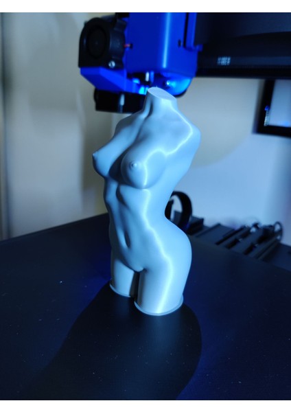 Kadın Vücudu (Vazo Modu) (Plastik Aparattır!!!) 3D indirimleri