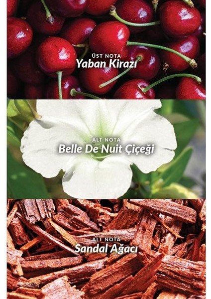 Beyond The Moon Edp 10 ml fiyatları