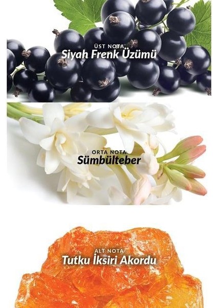 Attraction Awaken Kadın Parfüm Edp 50 ml modelleri