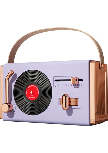Açık Hava Bluetooth Hoparlör Taşınabilir Dekoratif Yüksek Ses Kalitesi USB Çubukları Destek Retro Bluetooth Hoparlör Oturma Odası Ofis Mor (Yurt Dışından)