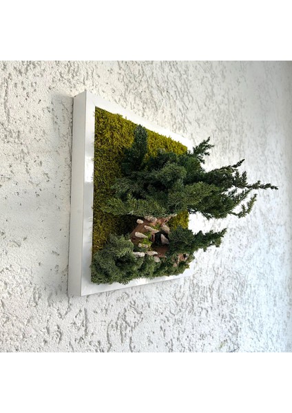Bonsai Temalı Doğal Yosun Duvar Panosu | 30X30 cm | Gerçek Mantar & Ağaç Kabuğu ile El Yapımı Bakım Gerektirmeyen Bitki Sanatı modelleri