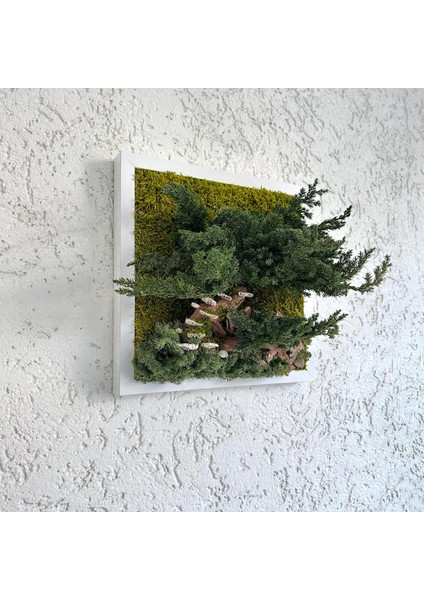 Bonsai Temalı Doğal Yosun Duvar Panosu | 30X30 cm | Gerçek Mantar & Ağaç Kabuğu ile El Yapımı Bakım Gerektirmeyen Bitki Sanatı fırsatları