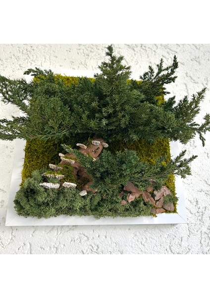 Bonsai Temalı Doğal Yosun Duvar Panosu | 30X30 cm | Gerçek Mantar & Ağaç Kabuğu ile El Yapımı Bakım Gerektirmeyen Bitki Sanatı indirimleri