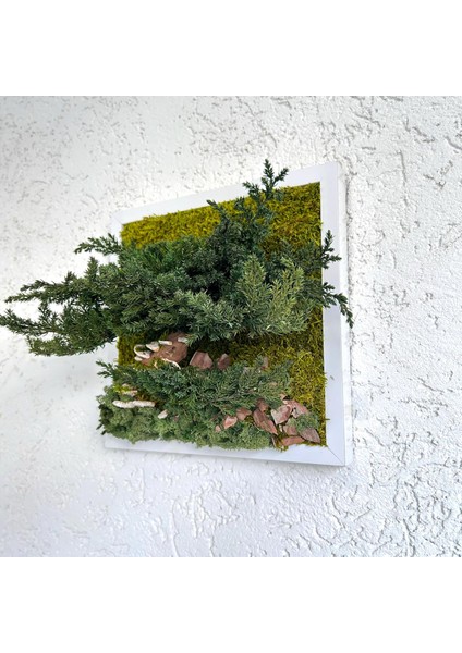 Bonsai Temalı Doğal Yosun Duvar Panosu | 30X30 cm | Gerçek Mantar & Ağaç Kabuğu ile El Yapımı Bakım Gerektirmeyen Bitki Sanatı