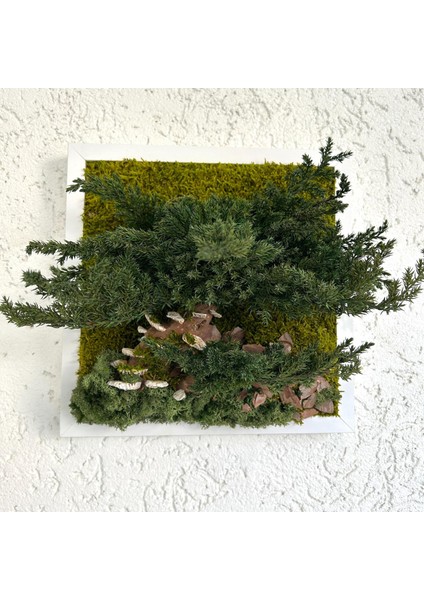 Bonsai Temalı Doğal Yosun Duvar Panosu | 30X30 cm | Gerçek Mantar & Ağaç Kabuğu ile El Yapımı Bakım Gerektirmeyen Bitki Sanatı